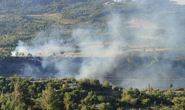 Orman yangınlarıyla ilgili soruşturmalar başlatıldı