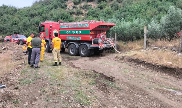 Osmaniye’de 1 dönüm kızıl çam ormanı küle döndü