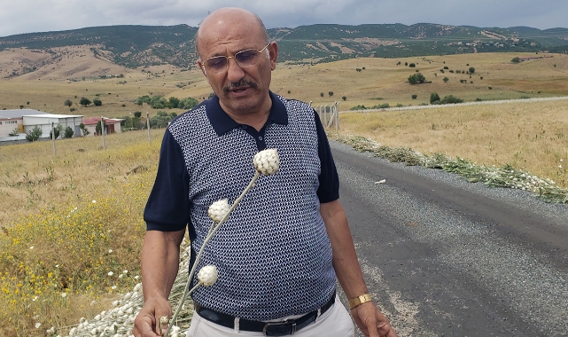 Pamuk dikeni topladı, 244 bin lira ceza yedi
