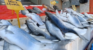Samsun’da balık tezgahları yalnız kaldı