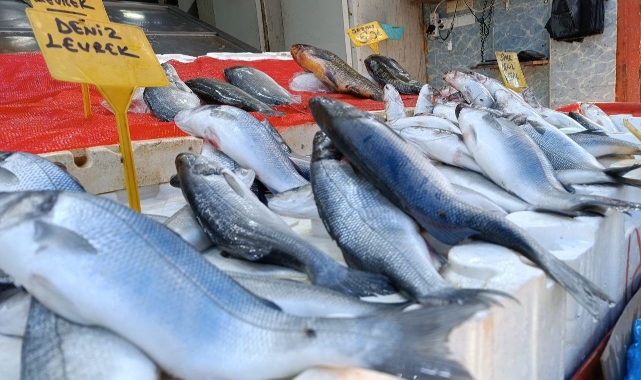 Samsun’da balık tezgahları yalnız kaldı