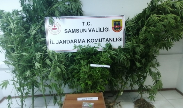 Samsun'da uyuşturucu ile mücadele