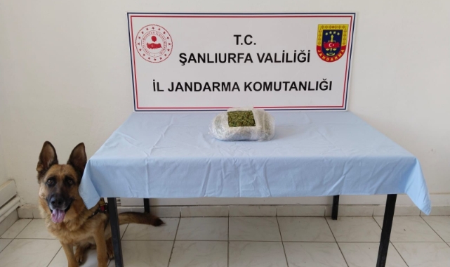 Şanlıurfa'nın iki ilçesinde operasyon: 5 gözaltı