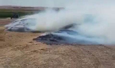 Siirt’te 50 ton mercimek samanı kül oldu