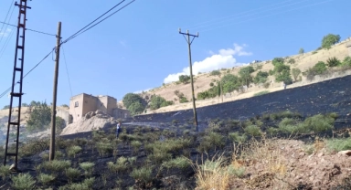 Siirt'te korkutan anız yangını