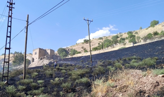 Siirt'te korkutan anız yangını