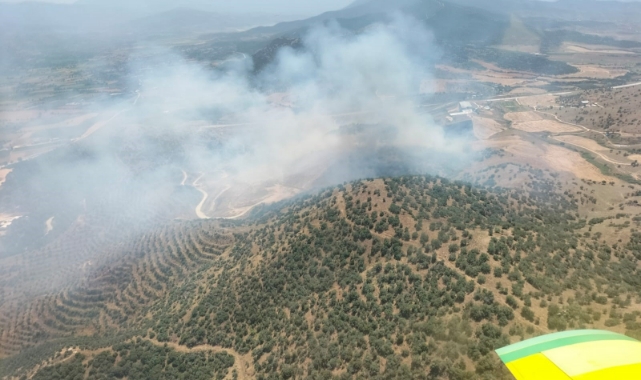 Tarlada başlayan yangın ormana sıçradı