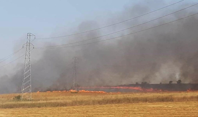 Tekirdağ'da 40 dönüm buğday ekili tarla yandı