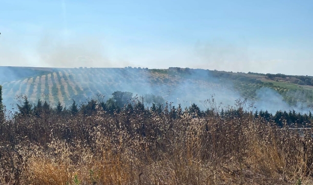 Tekirdağ'da bir çiftlikte çıkan yangın söndürüldü