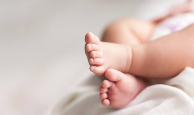 Yabani kedinin kaçırdığı 15 günlük bebek çatıdan düşerek öldü