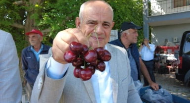 Yahyalı kirazının hasadı başladı