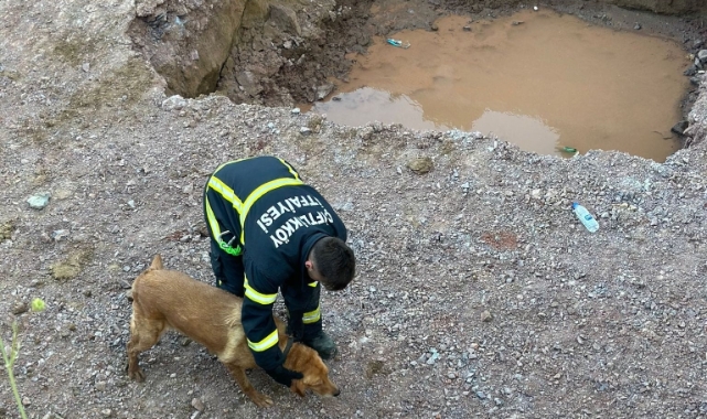Yalova'da mahsur kalan köpek kurtarıldı