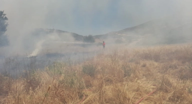 Yangın ormanlık alana sıçramadan söndürüldü