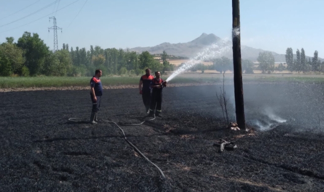 Yangında 40 dönüm buğday tarlası küle döndü