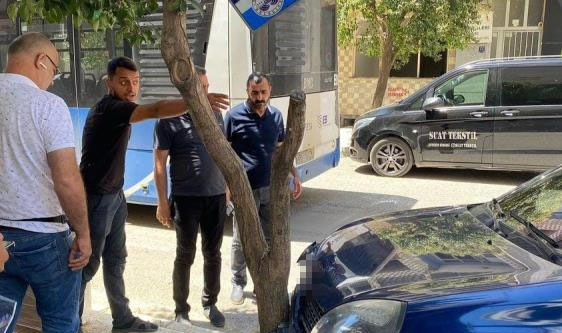Yolcu otobüsü ile otomobil çarpıştı