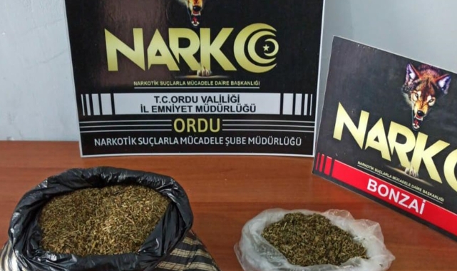 Yolcu otobüsünde, valizinde bonzai ele geçirilen şüpheli tutuklandı