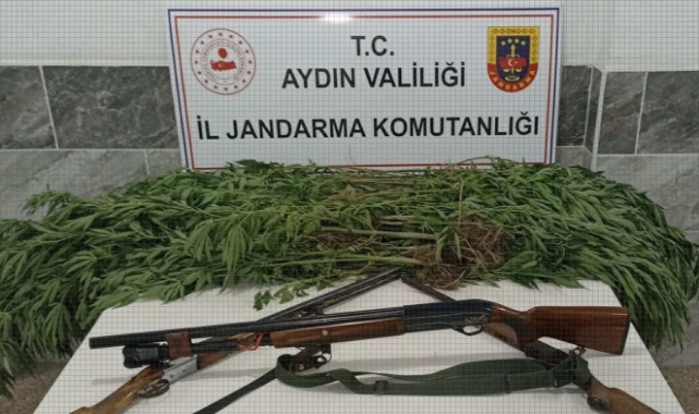 Zeytin bahçesinden uyuşturucu çıktı