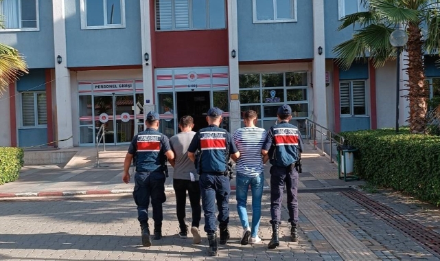 Zeytinyağı hırsızları tutuklandı