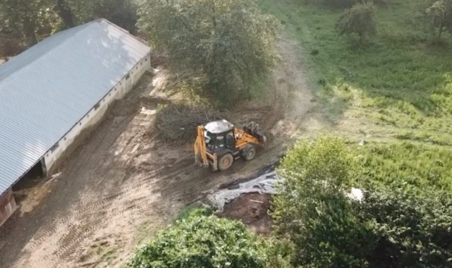Zonguldak'ta acı olay! Selde 8 bin tavuk telef oldu