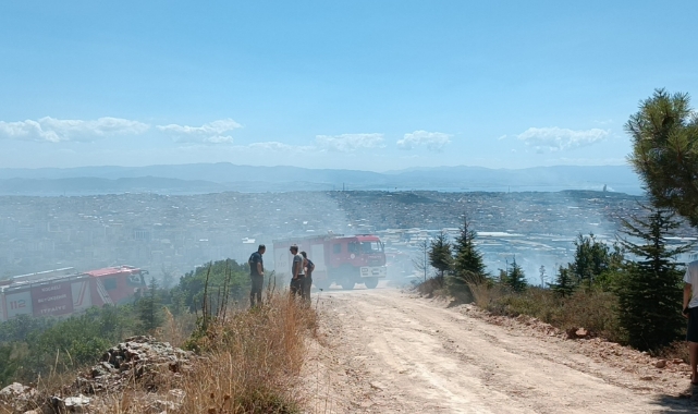 Ağaçlık alanda çıkan yangında kundaklama iddiası
