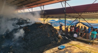 Ahır yangınında bilanço gün yüzüne çıktı