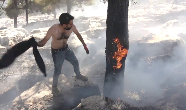 Alev alev yanan ağacı tişörtüyle söndürdü
