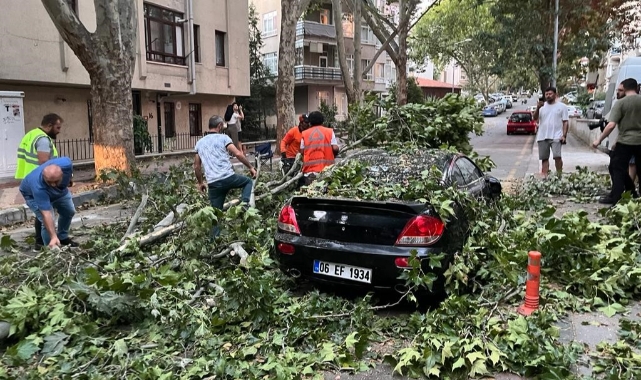 Ankara’da ağaçlar araçların üzerine devrildi