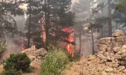 Antalya’da orman yangını devam ediyor
