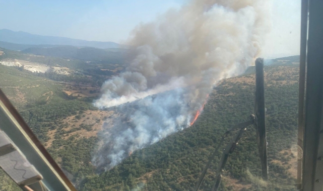 Araçtaki yangın ormana sıçradı