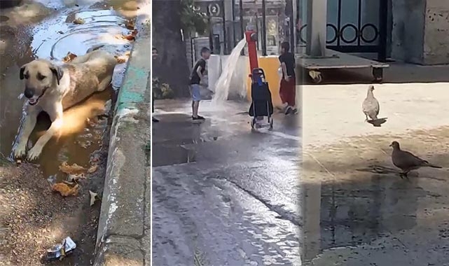 Bunaltan sıcaklarda böyle serinlediler