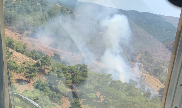 Balıkesir’de orman yangını