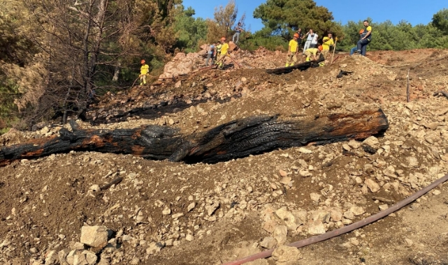Balıkesir’de orman yangını söndürüldü