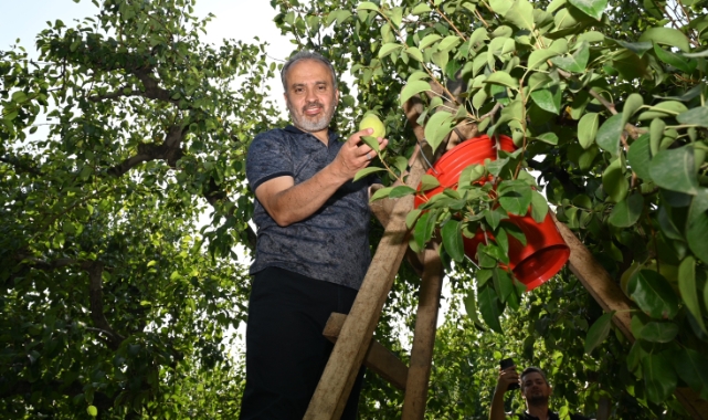 Başkan Aktaş’tan çiftçiye tarlada ziyaret