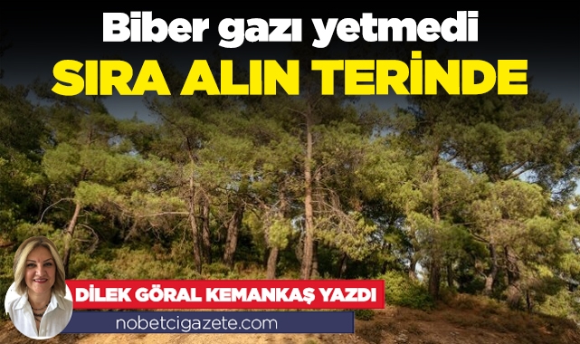 Biber gazı yetmedi sıra alın terinde