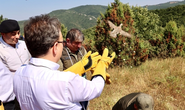 Bilecik'te kınalı keklikler doğaya salındı