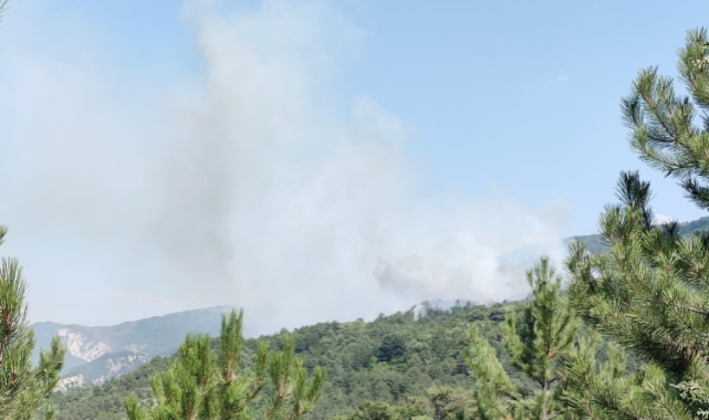 Bilecik’teki orman yangını kontrol altına alındı