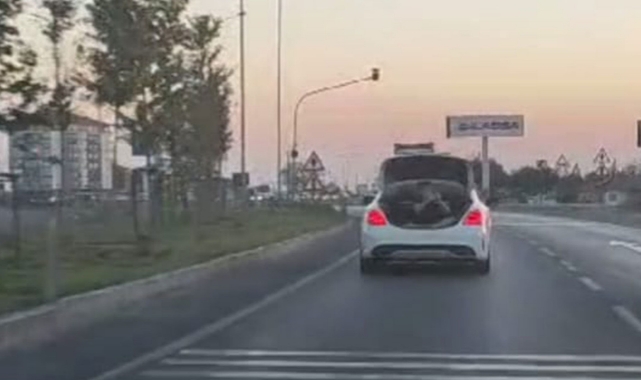 Bir kişi bagajda yolculuk yaptı