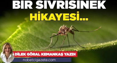 Bir Sivrisinek Hikayesi...