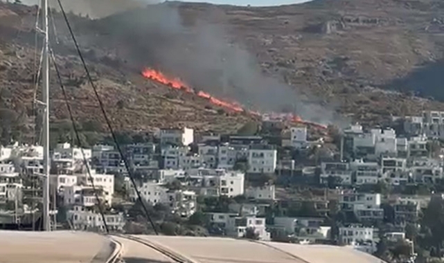 Bodrum'da ünlülerin mahallesinde yangın