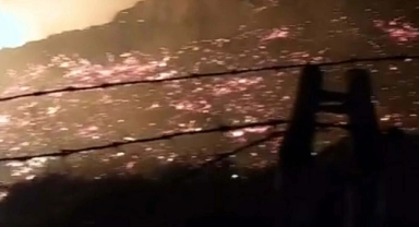 Bodrum'daki yangının bilançosu belli oldu