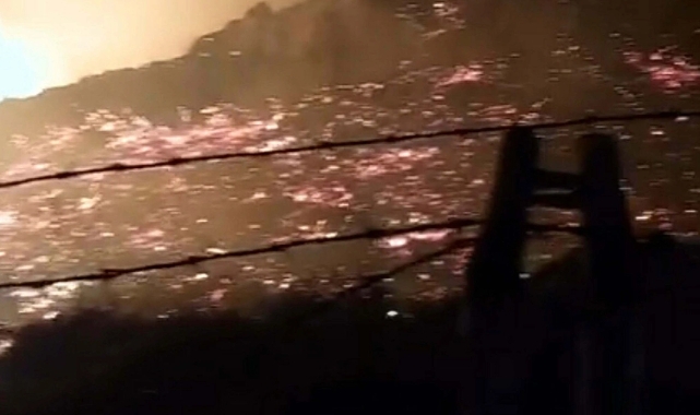 Bodrum'daki yangının bilançosu belli oldu