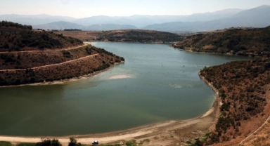 Boğazköy Barajı'nda korkutan görüntü! Binlerce balık öldü