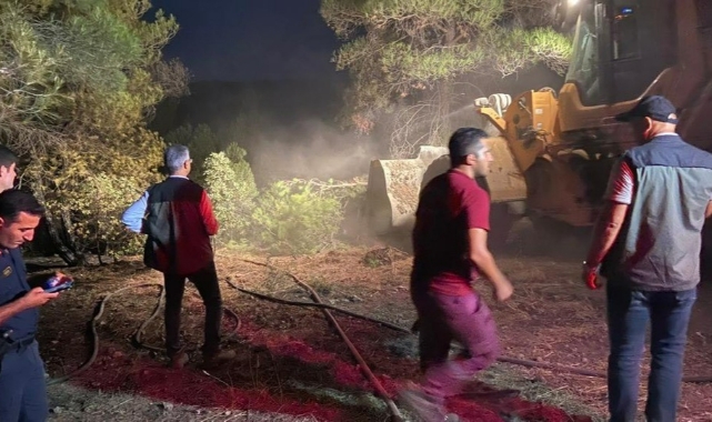 Bolu’daki orman yangını kontrol altına alındı