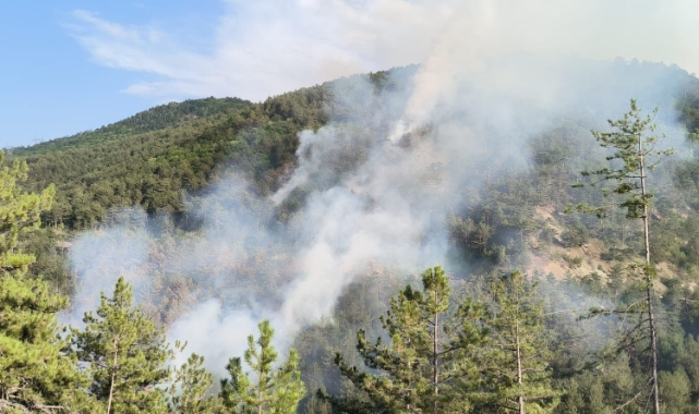 Bolu'daki orman yangını kontrol altına alındı
