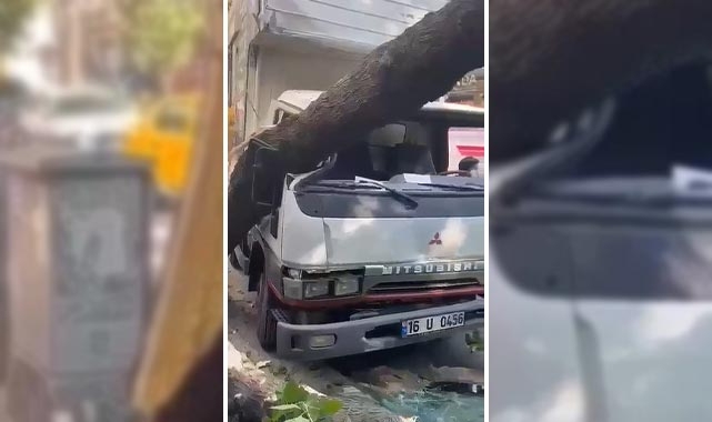 Bursa'da kamyonet sürücüsü ölümden döndü!
