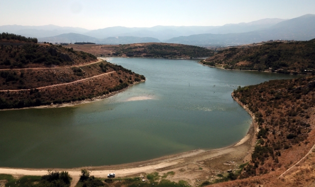 Bursa'da toplu balık ölümlerinin nedeni tespit edildi