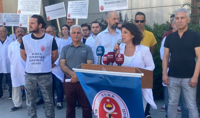 Bursa'da veteriner hekimler iş bıraktı