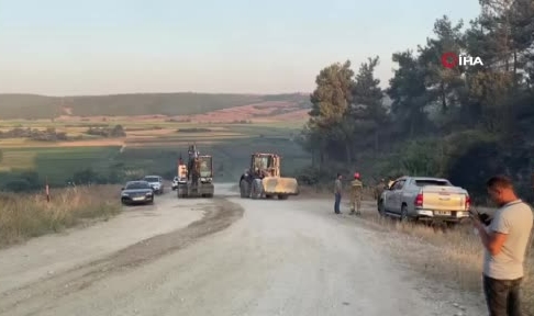 Bursa'daki yangına müdahale ediliyor