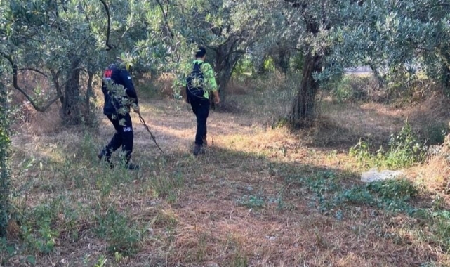 Bursa'dan Yalova'ya gitmişti! Kayıp öğretmenden iyi haber