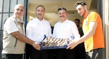 Bursa'nın siyah inciri dünyaya açılıyor